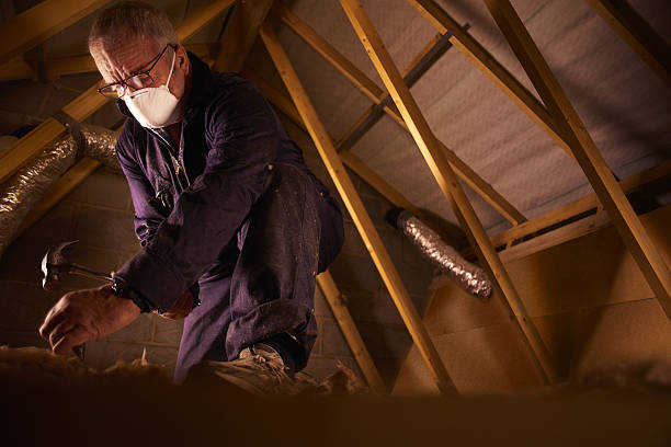 Best Commercial Insulation in Linden, TN